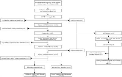 Dynamic gut microbiota changes in patients with advanced malignancies experiencing secondary resistance to immune checkpoint inhibitors and immune-related adverse events